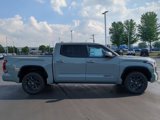 New 2025 Toyota Tundra Platinum image 5
