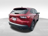 Used 2022 Ford Escape SE w/ SE Sport Appearance Package image 5