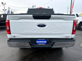 Used 2023 Ford F150 XLT image 4