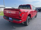 New 2025 Ford F150 XLT image 3