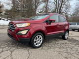 Used 2019 Ford EcoSport SE image 5