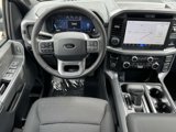 New 2025 Ford F150 XLT w/ Equipment Group 302A MID image 2