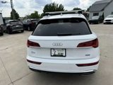 Used 2024 Audi Q5 2.0T Premium Plus image 4