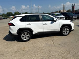 Used 2020 Toyota RAV4 XLE image 5