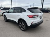 Used 2022 Ford Escape SE w/ SE Sport Appearance Package image 5