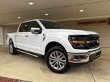New 2025 Ford F150 XLT w/ Equipment Group 303A High image 2