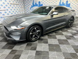 Used 2021 Ford Mustang Coupe w/ Equipment Group 101A image 4