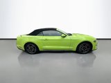 Used 2020 Ford Mustang Premium image 5
