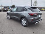 New 2025 Ford Escape Active w/ Cold Weather Package image 5