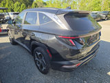 Used 2024 Hyundai Tucson SEL w/ Convenience Package image 2