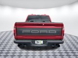 Used 2025 Ford F150 Raptor image 4