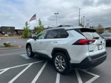 Certified 2024 Toyota RAV4 XLE Premium image 5