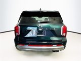 New 2025 Hyundai Palisade Calligraphy image 5