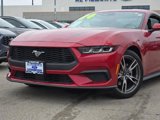 Certified 2024 Ford Mustang Premium image 2
