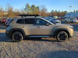 New 2025 MAZDA CX-50 Meridian Edition w/ Apex Package image 3