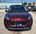 Certified 2021 Ford Escape SE image 5