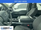 Used 2022 Ford F150 XL w/ STX Appearance Package image 5