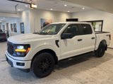 New 2025 Ford F150 STX w/ STX Black Appearance Package image 3