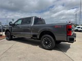 New 2025 Ford F250 Platinum image 4