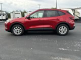 New 2025 Ford Escape Active w/ Active Premium Tech Pack image 4