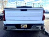 Used 2020 Chevrolet Silverado 1500 LT w/ All-Star Edition image 4