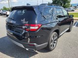 New 2025 Honda Pilot Elite image 4
