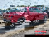 New 2025 Ford F150 XLT w/ Equipment Group 303A High image 4