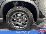 New 2025 Honda Pilot TrailSport image 4