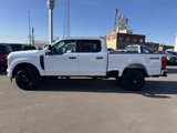 New 2025 Ford F250 XL image 6