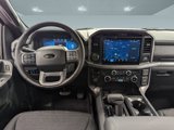 New 2025 Ford F150 XLT w/ Equipment Group 302A MID image 3
