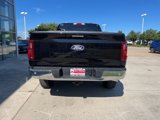 New 2024 Ford F150 XLT w/ Equipment Group 303A High image 6