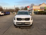 New 2025 Kia Telluride SX Prestige image 2