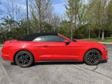 Used 2020 Ford Mustang Premium image 2
