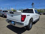 Certified 2024 Ford F150 XLT image 5