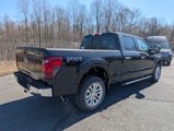 New 2025 Ford F150 XLT w/ Equipment Group 302A MID image 4