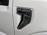New 2025 Ford F150 XLT w/ Equipment Group 302A MID image 4