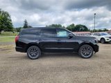New 2025 Ford Expedition Platinum image 4