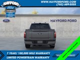 New 2025 Ford F150 Platinum image 5
