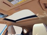 New 2026 Lexus NX 350 AWD image 6