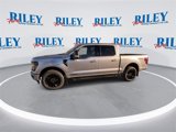New 2025 Ford F150 XLT w/ Equipment Group 302A MID image 4