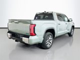 New 2025 Toyota Tundra 1794 Edition image 4