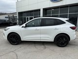 New 2025 Ford Escape ST-Line Elite w/ Premium Technology Package image 4