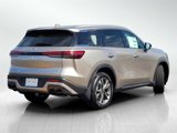 New 2025 INFINITI QX60 Luxe w/ Vision Package image 4