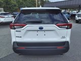 Used 2023 Toyota RAV4 XLE image 4