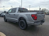 New 2025 Ford F150 STX image 5
