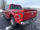 New 2025 Ford F150 XLT w/ Equipment Group 302A MID image 5