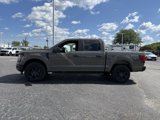 New 2025 Ford F150 STX image 5