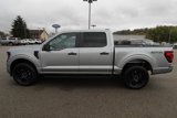 New 2024 Ford F150 STX w/ STX Black Appearance Package image 2