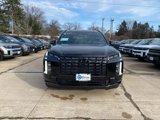New 2025 Hyundai Palisade Calligraphy image 2