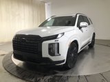 New 2025 Hyundai Palisade Calligraphy image 3